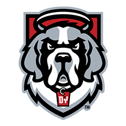 D'Youville University Baseball Camps